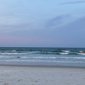 Meet your Posher, Gianna